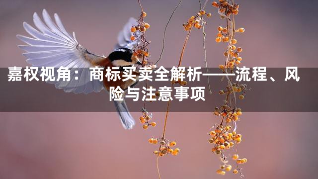 嘉权视角：商标买卖全解析——流程、风险与注意事项