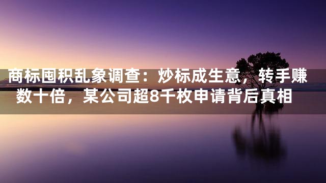 商标囤积乱象调查：炒标成生意，转手赚数十倍，某公司超8千枚申请背后真相