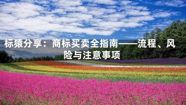 标猿分享：商标买卖全指南——流程、风险与注意事项