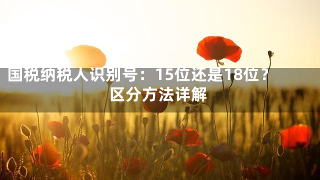 国税纳税人识别号：15位还是18位？区分方法详解