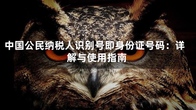 中国公民纳税人识别号即身份证号码：详解与使用指南