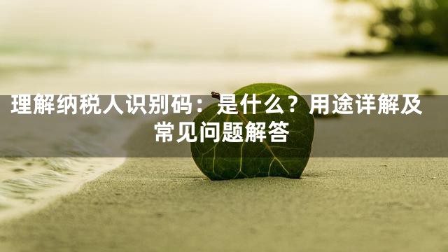 理解纳税人识别码：是什么？用途详解及常见问题解答