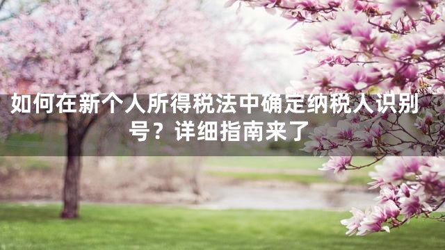 如何在新个人所得税法中确定纳税人识别号？详细指南来了
