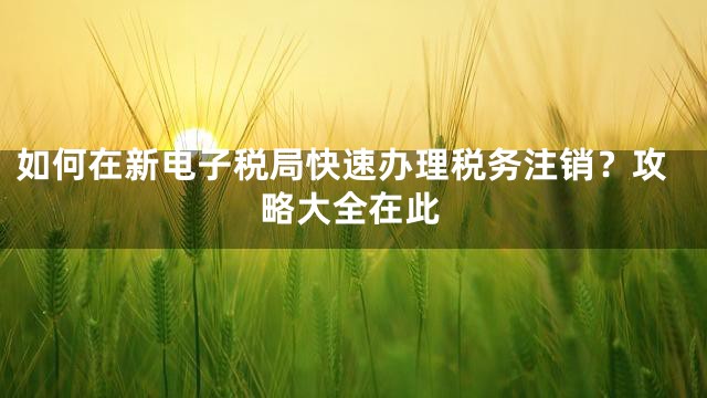 如何在新电子税局快速办理税务注销？攻略大全在此