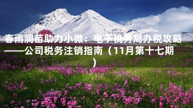 春雨润苗助力小微：电子税务局办税攻略——公司税务注销指南（11月第十七期）