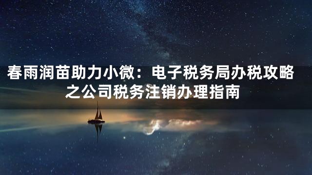 春雨润苗助力小微：电子税务局办税攻略之公司税务注销办理指南