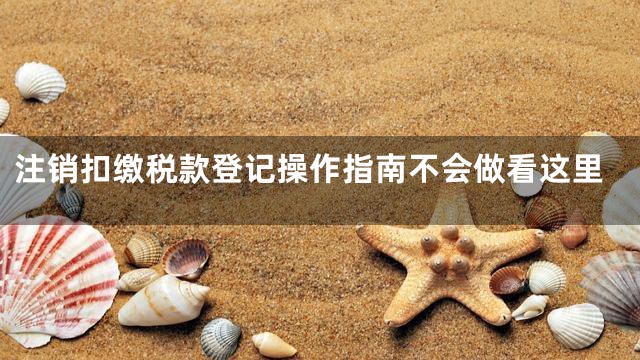 注销扣缴税款登记操作指南不会做看这里