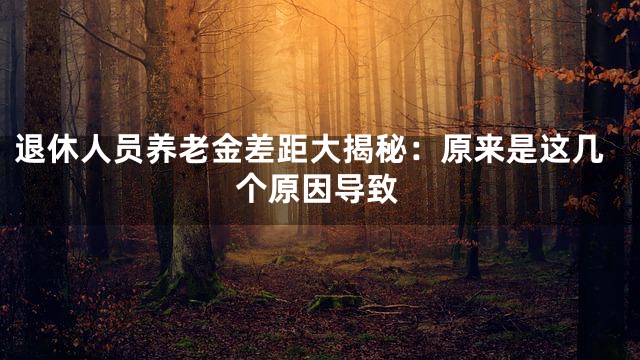退休人员养老金差距大揭秘：原来是这几个原因导致