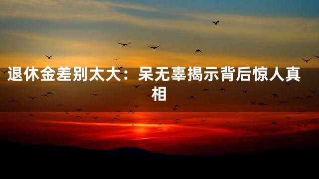 退休金差别太大：呆无辜揭示背后惊人真相