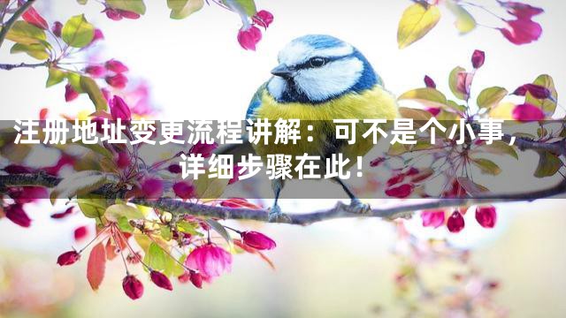 注册地址变更流程讲解：可不是个小事，详细步骤在此！