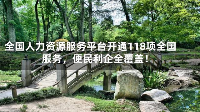 全国人力资源服务平台开通118项全国服务，便民利企全覆盖！