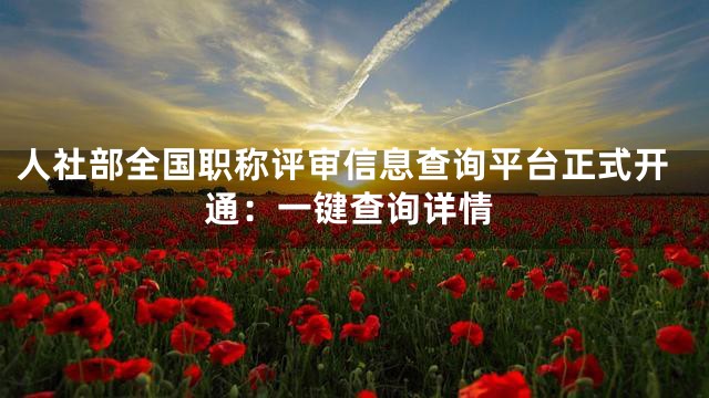 人社部全国职称评审信息查询平台正式开通：一键查询详情