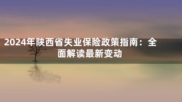 2024年陕西省失业保险政策指南：全面解读最新变动