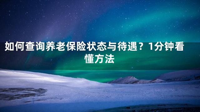 如何查询养老保险状态与待遇？1分钟看懂方法