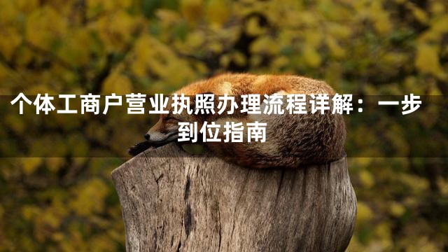 个体工商户营业执照办理流程详解：一步到位指南