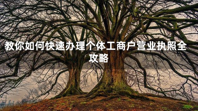 教你如何快速办理个体工商户营业执照全攻略