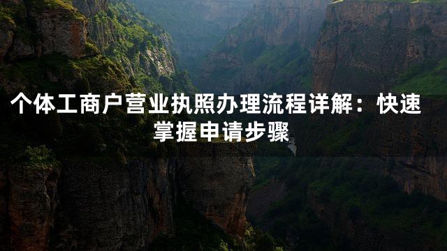 个体工商户营业执照办理流程详解：快速掌握申请步骤