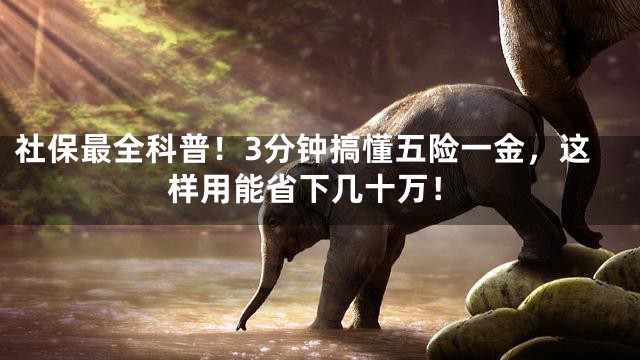 社保最全科普！3分钟搞懂五险一金，这样用能省下几十万！