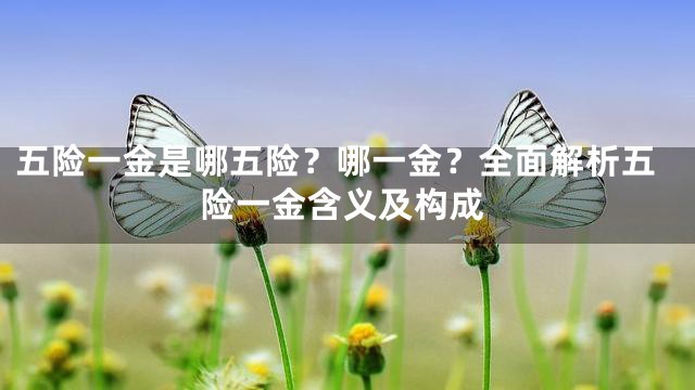五险一金是哪五险？哪一金？全面解析五险一金含义及构成