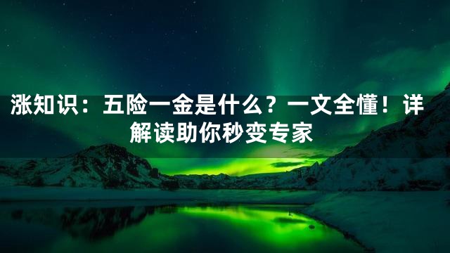 涨知识：五险一金是什么？一文全懂！详解读助你秒变专家