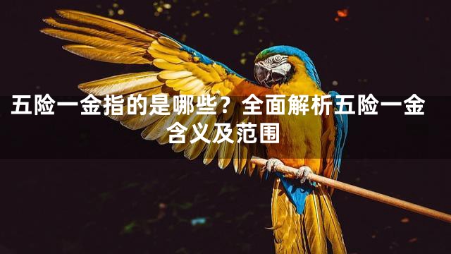 五险一金指的是哪些？全面解析五险一金含义及范围