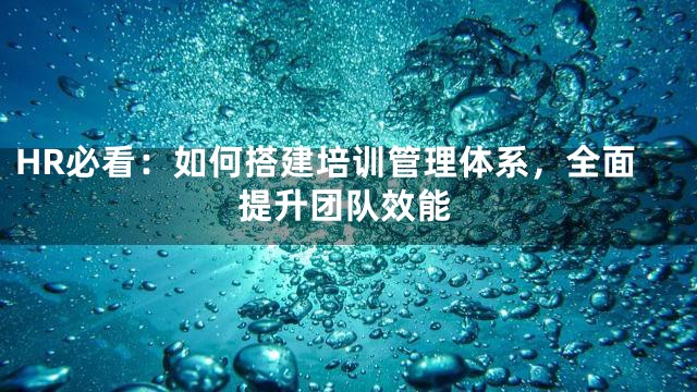 HR必看：如何搭建培训管理体系，全面提升团队效能