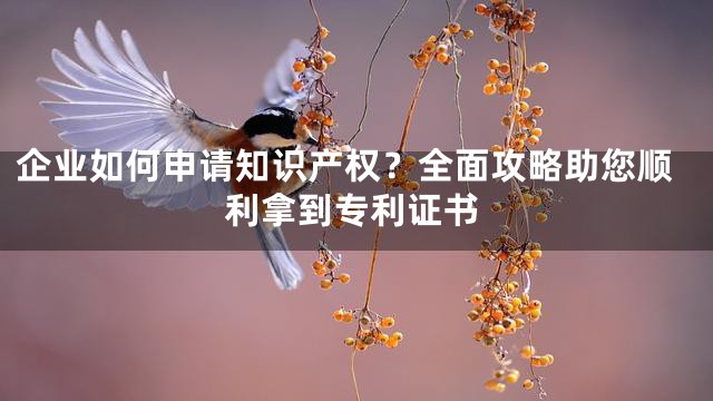 企业如何申请知识产权？全面攻略助您顺利拿到专利证书