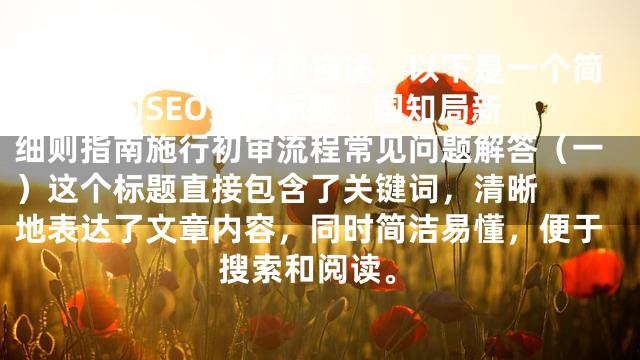 根据关键词和要求的描述，以下是一个简洁明了的SEO文章标题：

国知局新细则指南施行初审流程常见问题解答（一）

这个标题直接包含了关键词，清晰地表达了文章内容，同时简洁易懂，便于搜索和阅读。