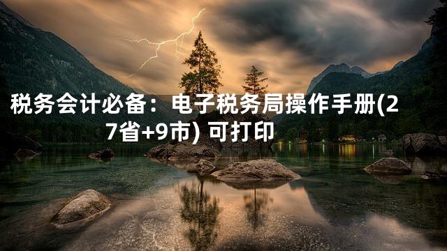 税务会计必备：电子税务局操作手册(27省+9市) 可打印