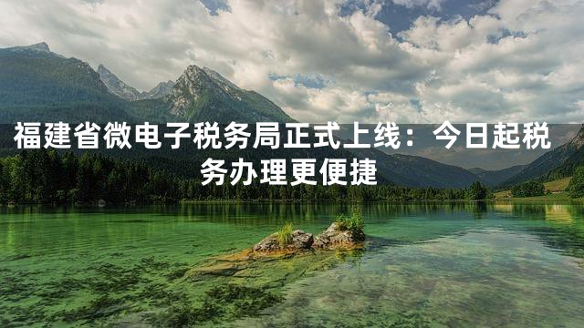 福建省微电子税务局正式上线：今日起税务办理更便捷