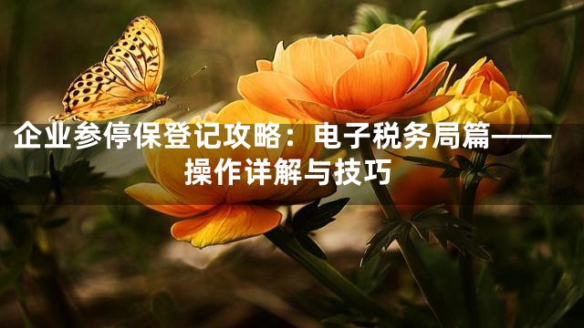 企业参停保登记攻略：电子税务局篇——操作详解与技巧