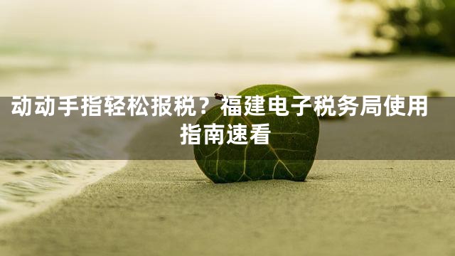 动动手指轻松报税？福建电子税务局使用指南速看