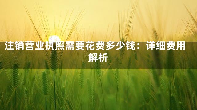 注销营业执照需要花费多少钱：详细费用解析