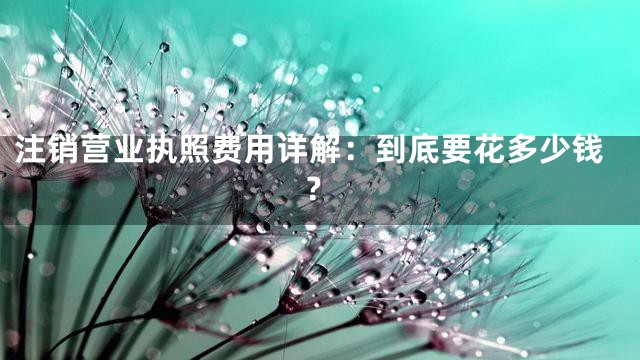 注销营业执照费用详解：到底要花多少钱？