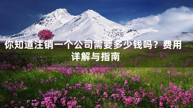 你知道注销一个公司需要多少钱吗？费用详解与指南