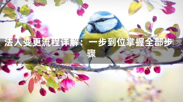 法人变更流程详解：一步到位掌握全部步骤