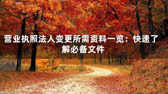 营业执照法人变更所需资料一览：快速了解必备文件