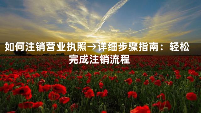 如何注销营业执照→详细步骤指南：轻松完成注销流程