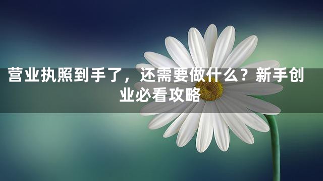 营业执照到手了，还需要做什么？新手创业必看攻略