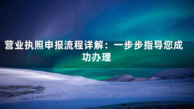 营业执照申报流程详解：一步步指导您成功办理
