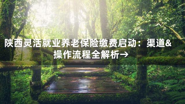 陕西灵活就业养老保险缴费启动：渠道&操作流程全解析→