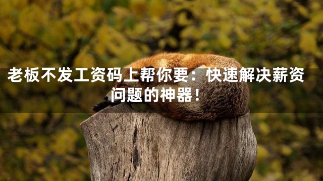 老板不发工资码上帮你要：快速解决薪资问题的神器！