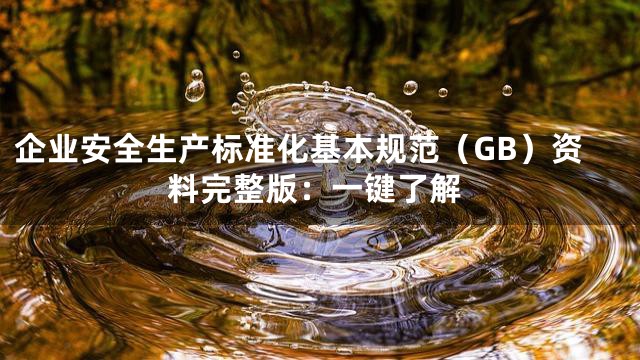 企业安全生产标准化基本规范（GB）资料完整版：一键了解