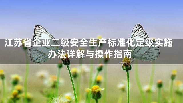 江苏省企业二级安全生产标准化定级实施办法详解与操作指南