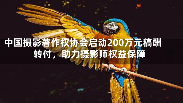中国摄影著作权协会启动200万元稿酬转付，助力摄影师权益保障
