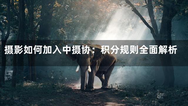 摄影如何加入中摄协：积分规则全面解析