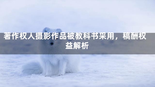 著作权人摄影作品被教科书采用，稿酬权益解析