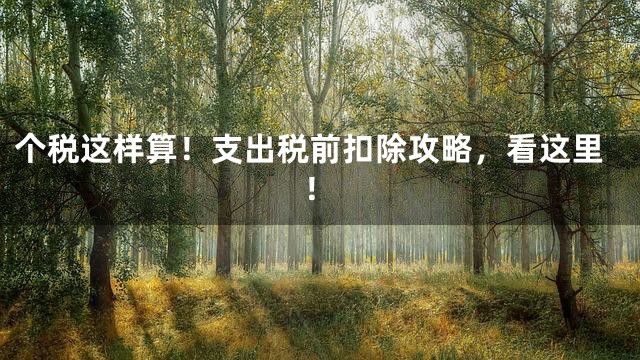 个税这样算！支出税前扣除攻略，看这里！