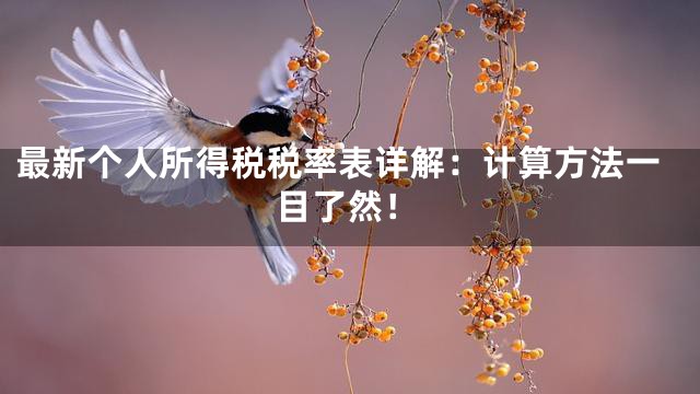最新个人所得税税率表详解：计算方法一目了然！