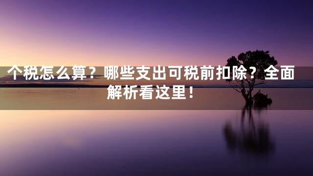 个税怎么算？哪些支出可税前扣除？全面解析看这里！